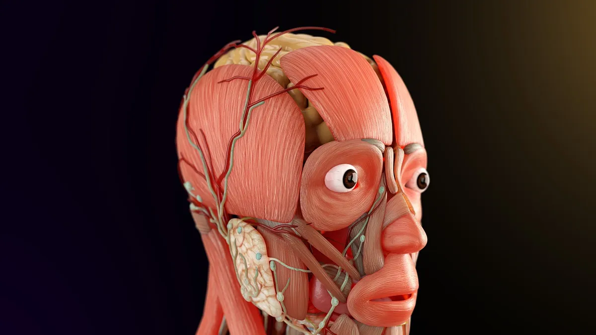 nervous system burnout recovery after leaving job stress response cycle — ETEO Wellness — Ava